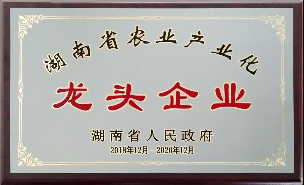 17-1 17-1